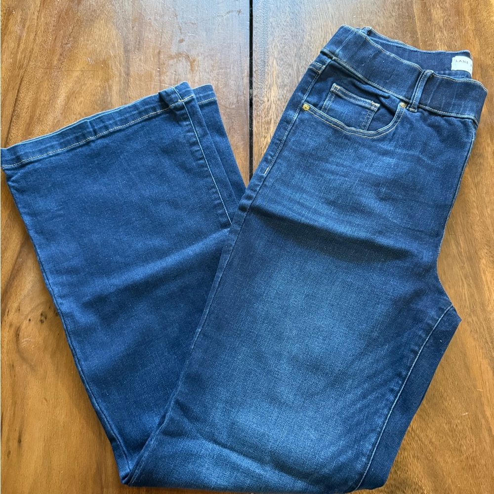 Lane Bryant Dark Blue Straight Leg Jeans